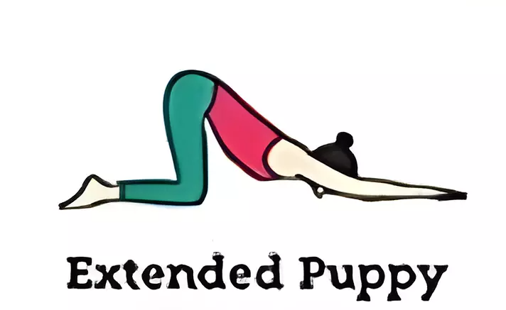 List Yoga Poses: Unlock serenity with the Extended Puppy Pose - a rejuvenating yoga posture for deep stretching and stress relief. Enhance your practice with this soothing asana, perfect for flexibility and mindfulness. Discover the benefits of the Extended Puppy Pose now!